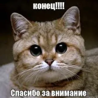 Sticker OK by zlaya ytka - 7