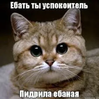 Sticker OK by zlaya ytka - 3