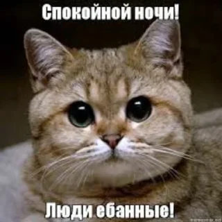 Sticker OK by zlaya ytka - 4