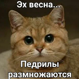 Sticker OK by zlaya ytka - 11