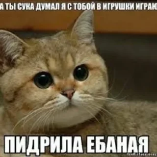 Sticker OK by zlaya ytka - 0