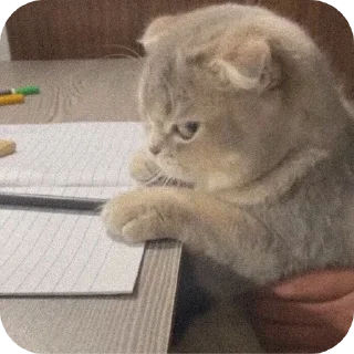 Sticker Зли Мейн @злимейн - 1