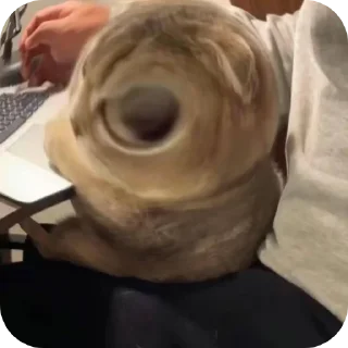 Sticker Зли Мейн @злимейн - 11