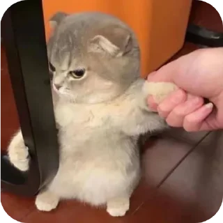 Sticker Зли Мейн @злимейн - 9