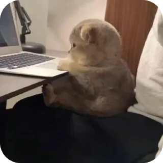 Sticker Зли Мейн @злимейн - 10