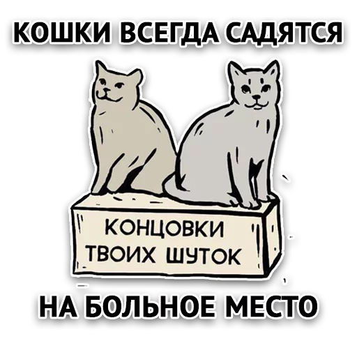 СМС кошка животное