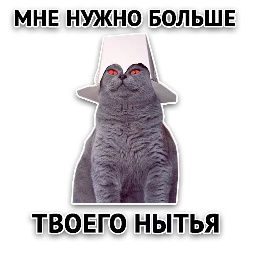 Злойпак - text