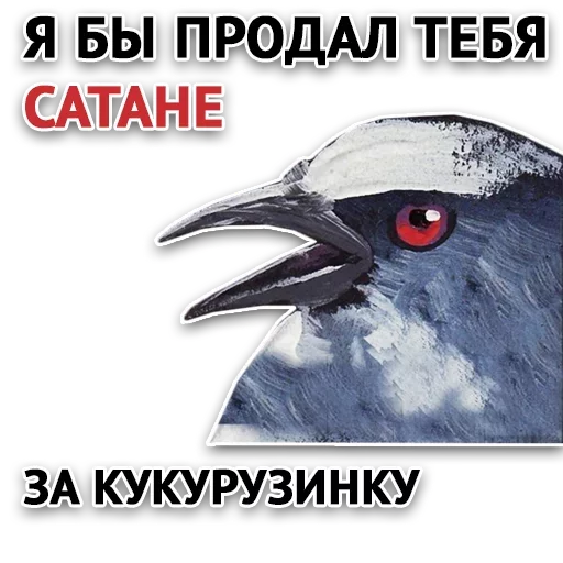 СМС животное птица