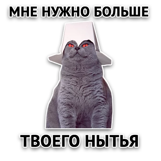 Злойпак от @SimplePsychology - 