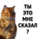 Sticker Злойпак от @SimplePsychology - 4