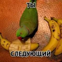 Sticker Злойпак от @SimplePsychology - 5