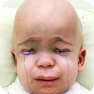 Sticker змея - 9