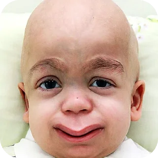 Sticker змея - 8