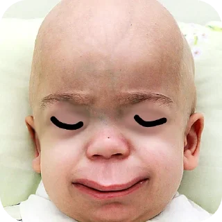 Sticker змея - 0