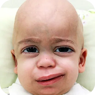 Sticker змея - 1