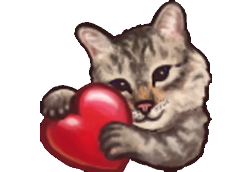 кошачьи кошка усы