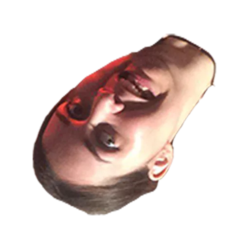 человеческое лицо щека челюсть