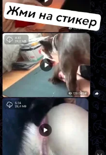 Стикер Переходи @z00p0rn0 - 0