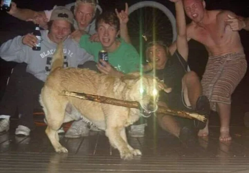 Человек одежда животное