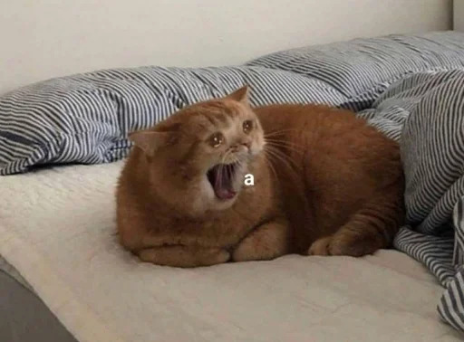 коробочка @zookek - 