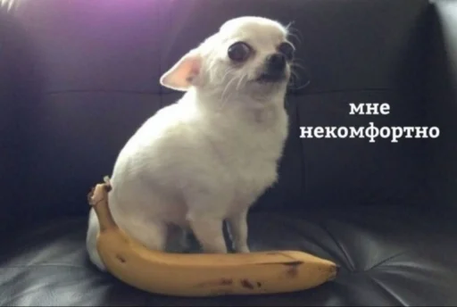 Sticker коробочка @zookek - 10