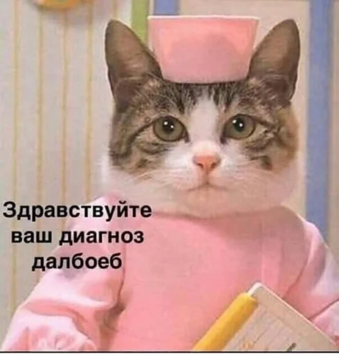 Sticker коробочка @zookek - 7