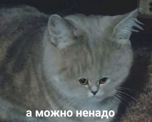 Sticker коробочка @zookek - 6