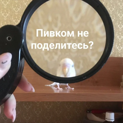 Sticker коробочка @zookek - 5