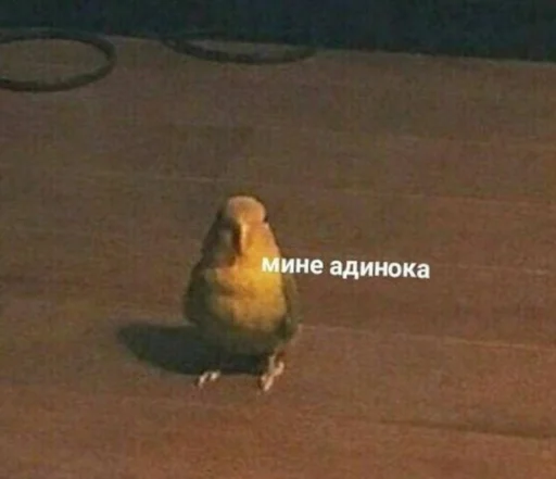 Sticker коробочка @zookek - 1