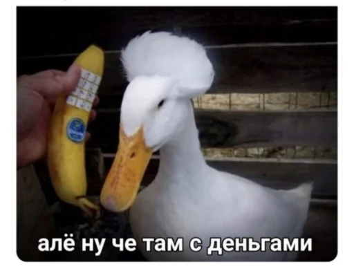 Sticker коробочка @zookek - 0