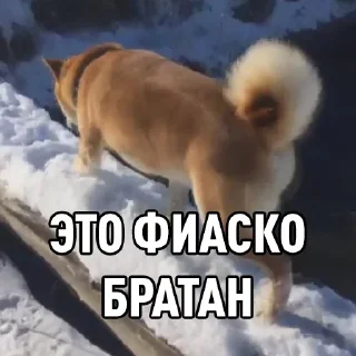 Стикер zorgi1 - 0