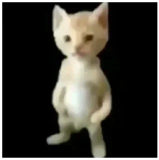 Sticker Больше стиков тут: @stikery4 - 8