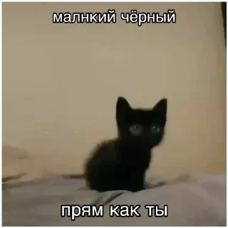 Sticker Больше стиков тут: @stikery4 - 6