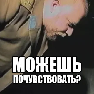 Слоновый цитатник (@SlonikChat) - text