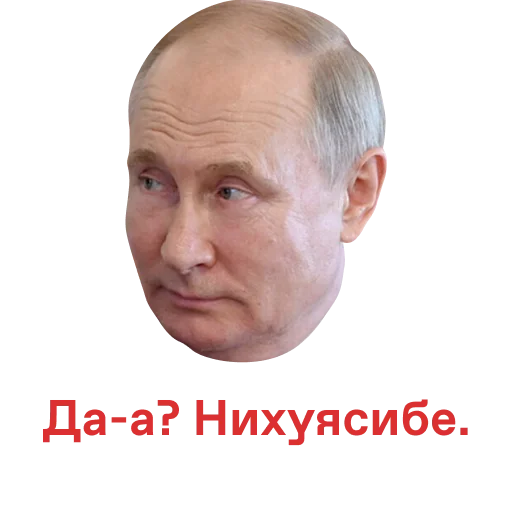 human face forehead chin