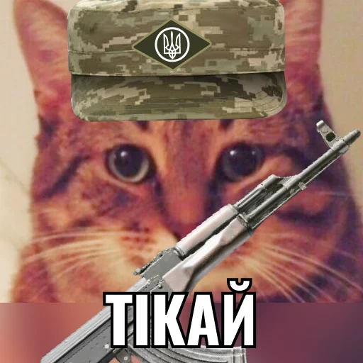 Sticker Кіт ЗСУ - 11