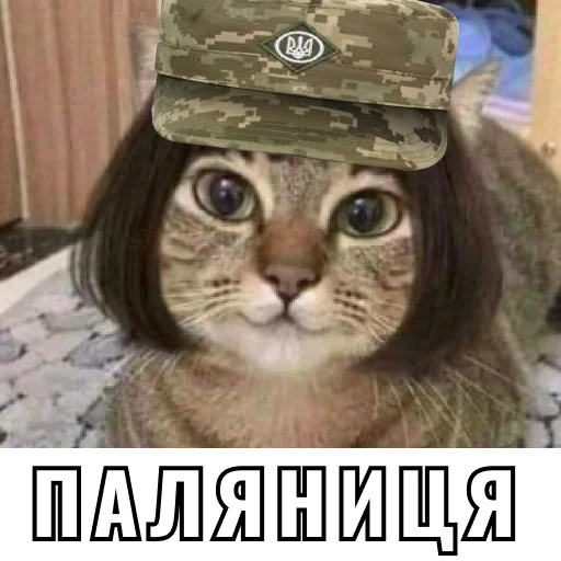 Sticker Кіт ЗСУ - 10