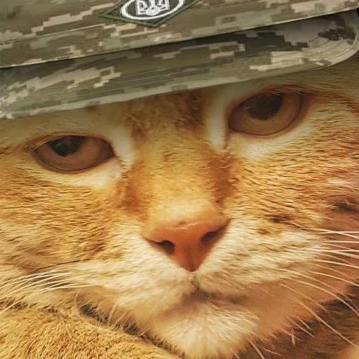 Sticker Кіт ЗСУ - 7