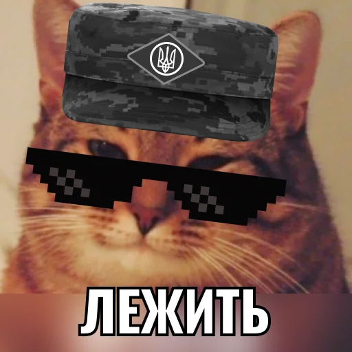 Sticker Кіт ЗСУ - 6