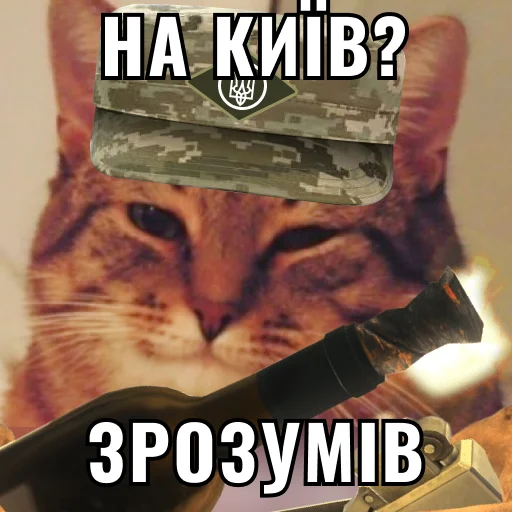 Sticker Кіт ЗСУ - 4