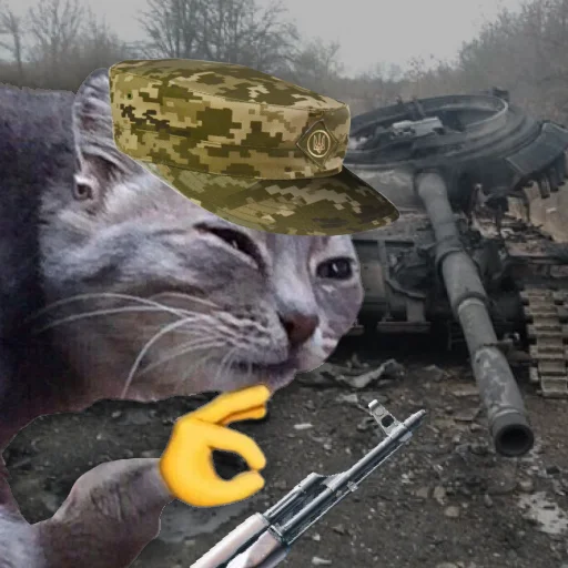 Sticker Кіт ЗСУ - 3
