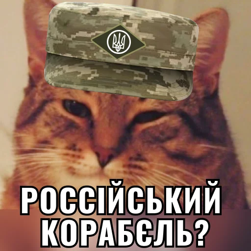 Sticker Кіт ЗСУ - 2