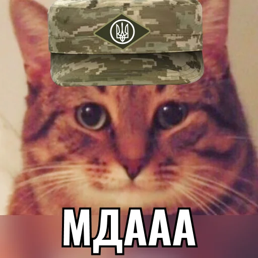 Sticker Кіт ЗСУ - 1