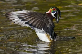 Sticker Лучшие стикеры - @lovesticers - 3