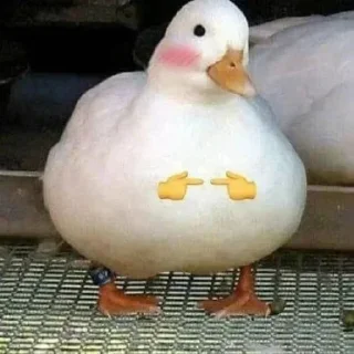 Sticker Лучшие стикеры - @lovesticers - 1