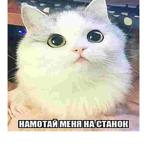 Sticker пидорасы хуесосы - 9