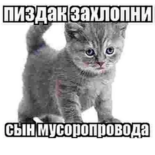 Sticker пидорасы хуесосы - 6