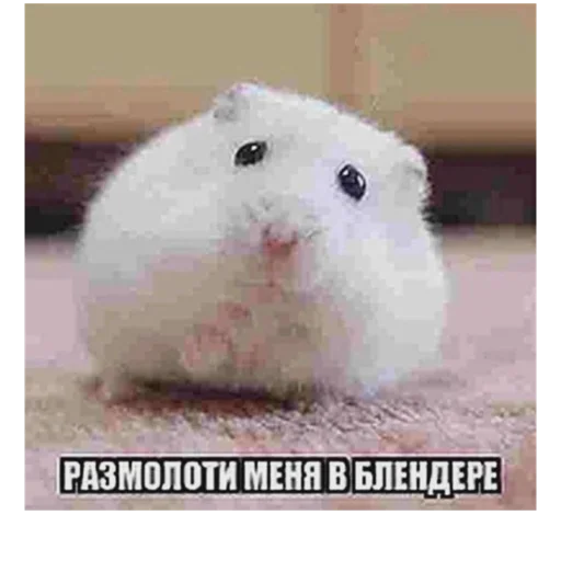 Sticker пидорасы хуесосы - 4