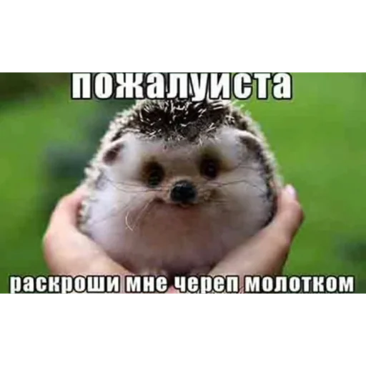 Sticker пидорасы хуесосы - 3