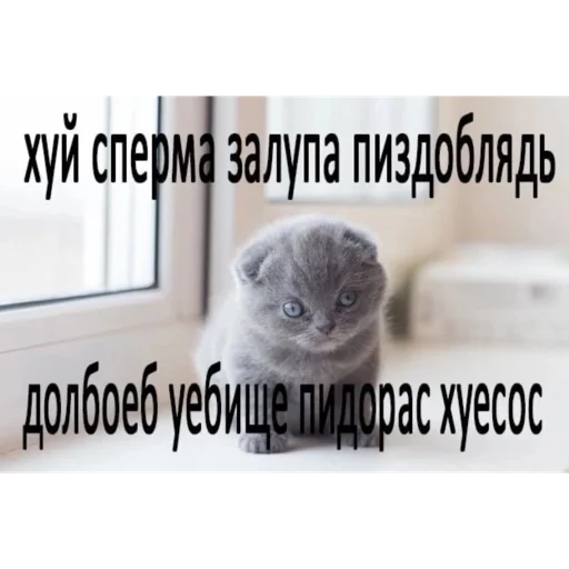 пидорасы хуесосы - 